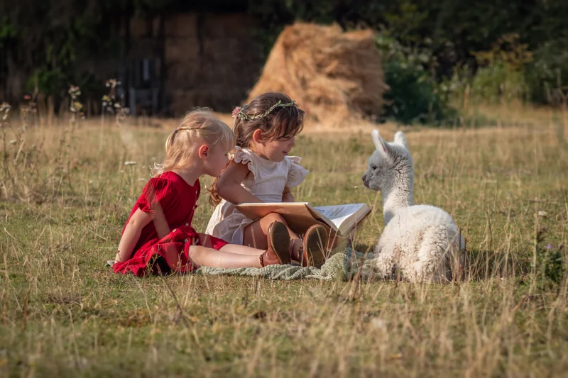 Zwei Kinder lesen in der Abendsonne einem jungen Alpaka vor